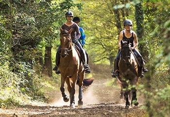 discover-maisons-laffitte