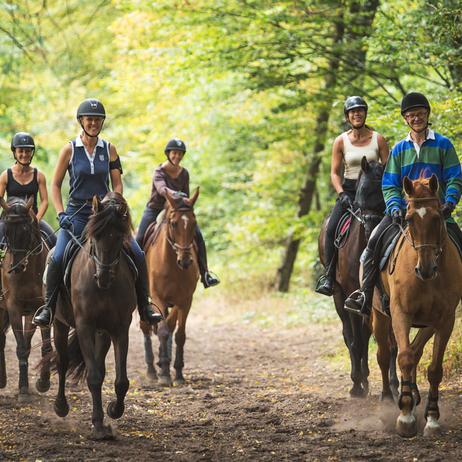 equitation promenade découverte