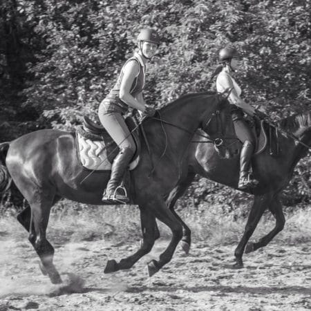 Horse Holidays France