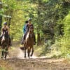 Galop en foret