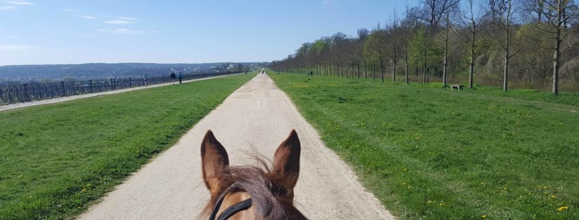 Randonnée équestre de Maisons Laffitte à Saint-Germain-en-Laye