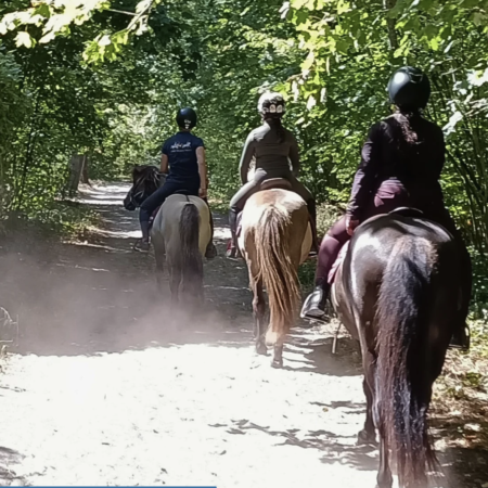 balade à la découverte du tôlt avec des chevaux islandais en forêt de Saint-Germain - formule DUO