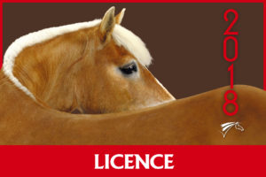 ffe licence