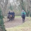 Promenade à cheval foret