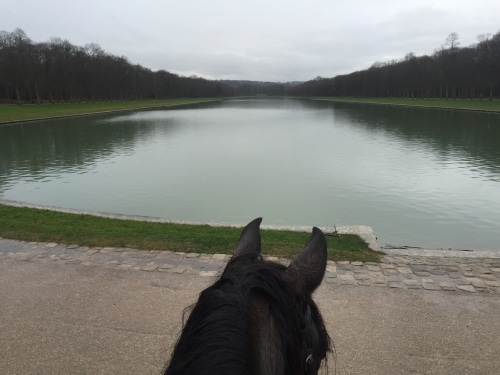 Balade à cheval dans un parc