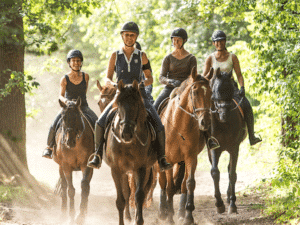 Balades équitation Horse Holidays France