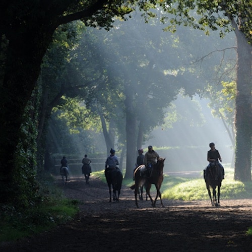 Discover the training center and ride a horse