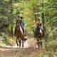 promenade équestre horseholidaysfrance