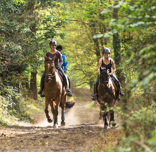 promenade équestre horseholidaysfrance