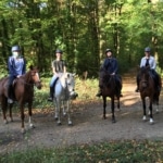 Balade à cheval pour débutant