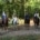 Balade à cheval pour débutant