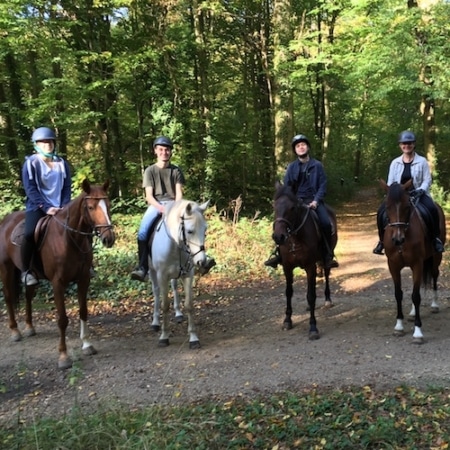 Balade en foret à cheval