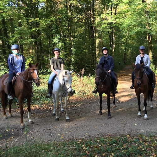 equitation promenade découverte