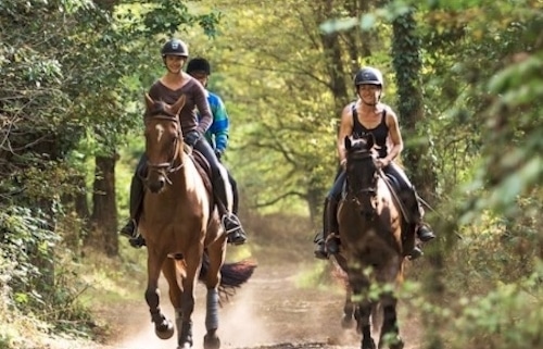 HORSE HOLIDAYS FRANCE