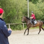 entrainement équestre