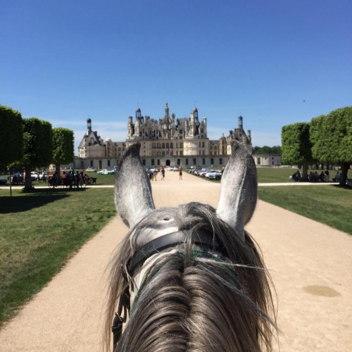 randonnées équestres châteaux de la Loire