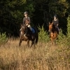 balade à cheval en amoureux