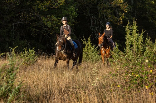 balade à cheval en amoureux