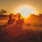 saint valentin à cheval