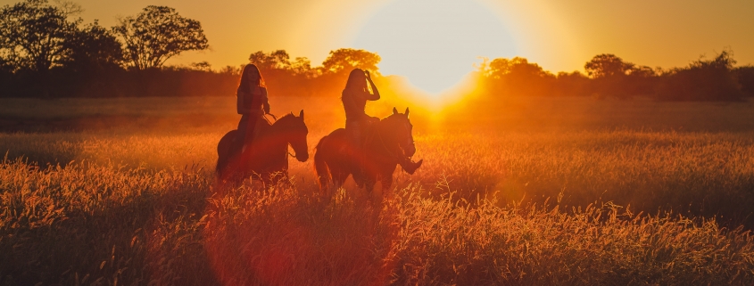 saint valentin à cheval