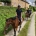 Horseback riding for september