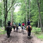 horse holidays - séjours équestre- emission de radio france bleu