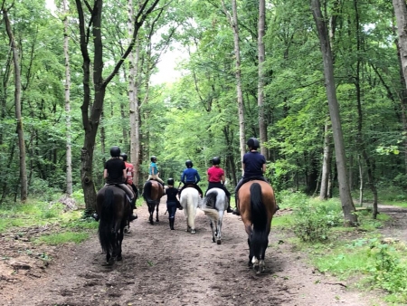 horse holidays - séjours équestre- emission de radio france bleu