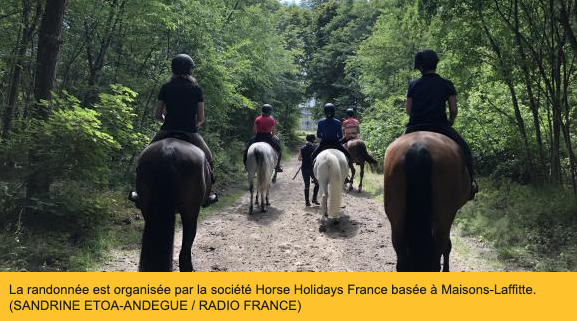En randonnée à cheval en Île-de-France : "la liberté" après le confinement