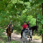 horse holidays - séjours équestre- emission de radio france bleu