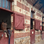 centre équestre maisons laffitte