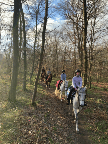 enterrement de vie de jeune fille à cheval