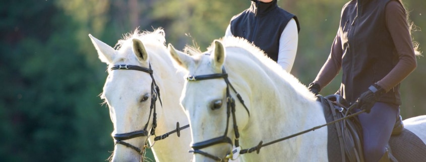 deux amies en train de découvrir le cheval à paris