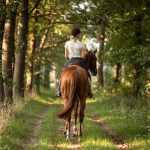 Balade à cheval à Maisons-Laffitte : Profitez du printemps dans un cadre exceptionnel !