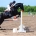cours-particulier-competition