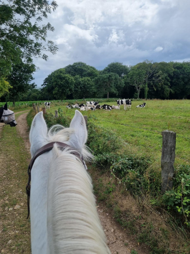 balade equirando 2025