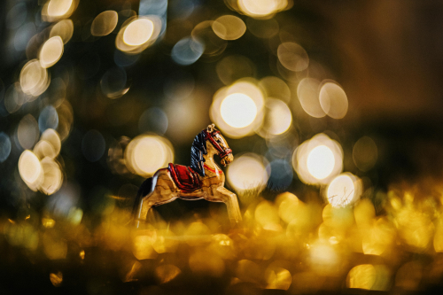 carte cadeau équitation