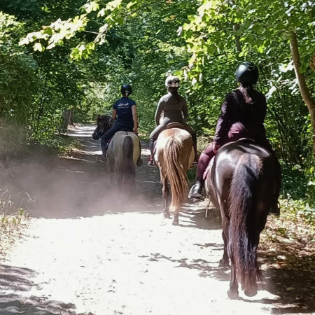 promenade formule duo maisons laffitte