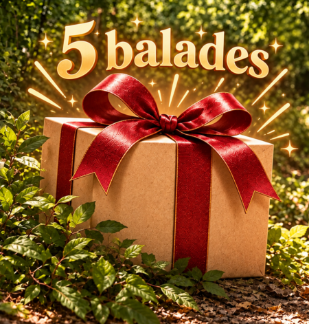 Carte cadeau 5 balades à cheval Maisons-Laffitte